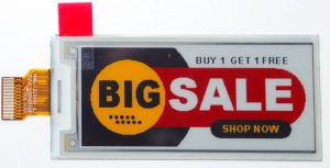 RDS Holitech ePaper display